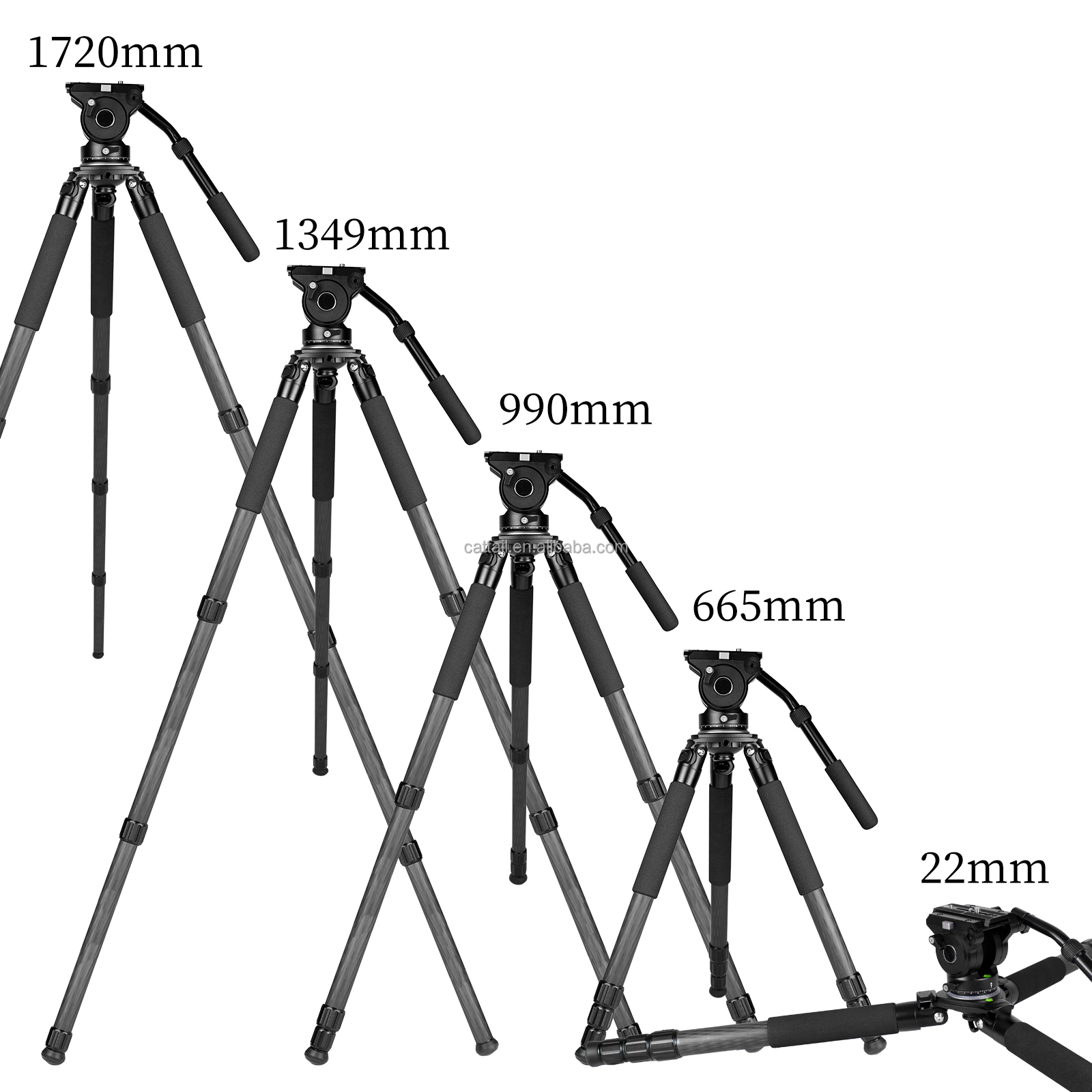 CatTail CT-3 Professional 40MM - Outdoor Hunting Photography review and price