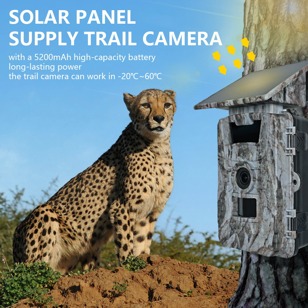 Solar WiFi 4K 60MP Hunting Cam - Outdoor Hunting Photography review and price