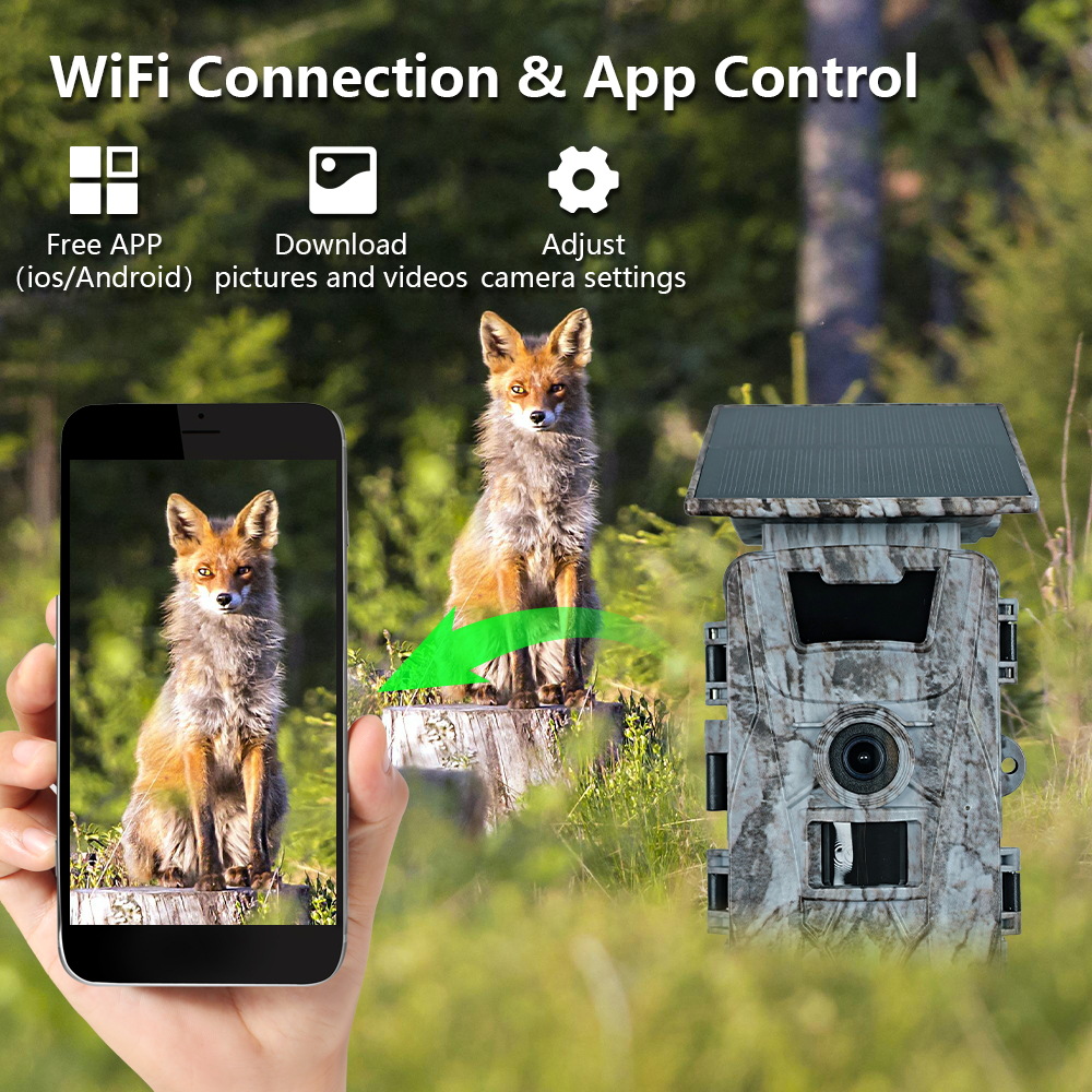 Solar WiFi 4K 60MP Hunting Cam - Outdoor Hunting Photography review and price