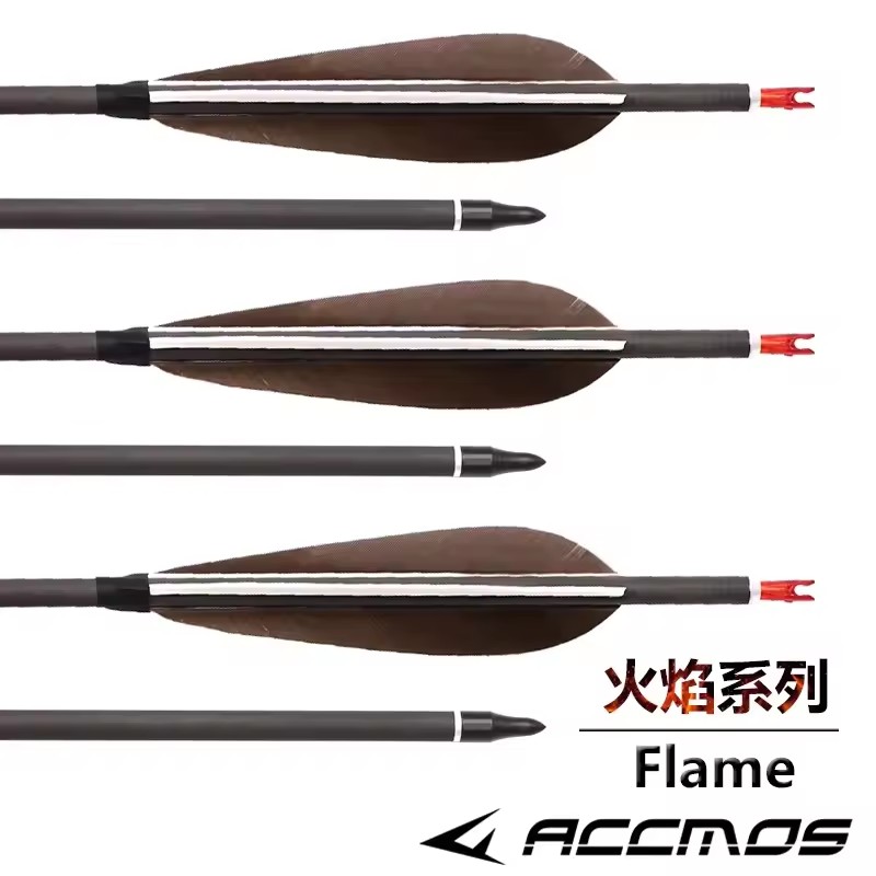 ACCMOS 33inch Pure Carbon Arro - Hunting Bow Compound review and price