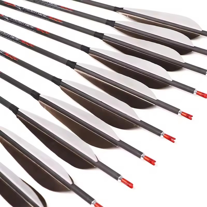 ACCMOS 33inch Pure Carbon Arro - Hunting Bow Compound review and price