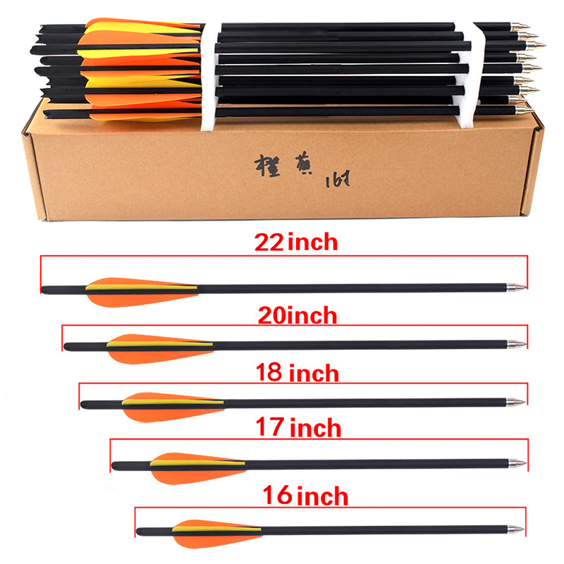 12Pcs 16/17/18/20/22 Inches Ar - Arrow Carbon Shaft review and price