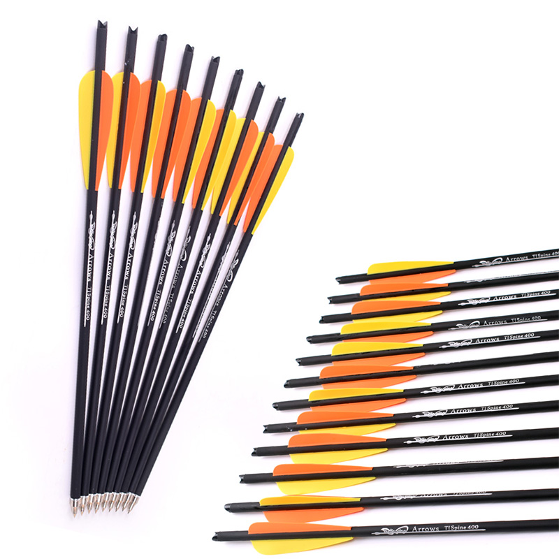 12Pcs 16/17/18/20/22 Inches Ar - Arrow Carbon Shaft review and price